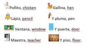 pollito